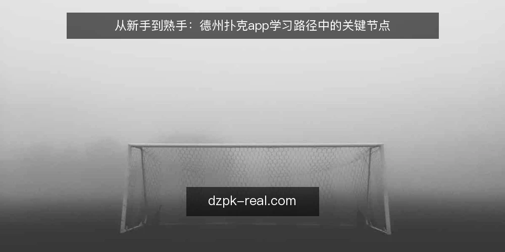 从新手到熟手：德州扑克app学习路径中的关键节点 — 新手常遇的卡点：规则懂了却打不好 配图
