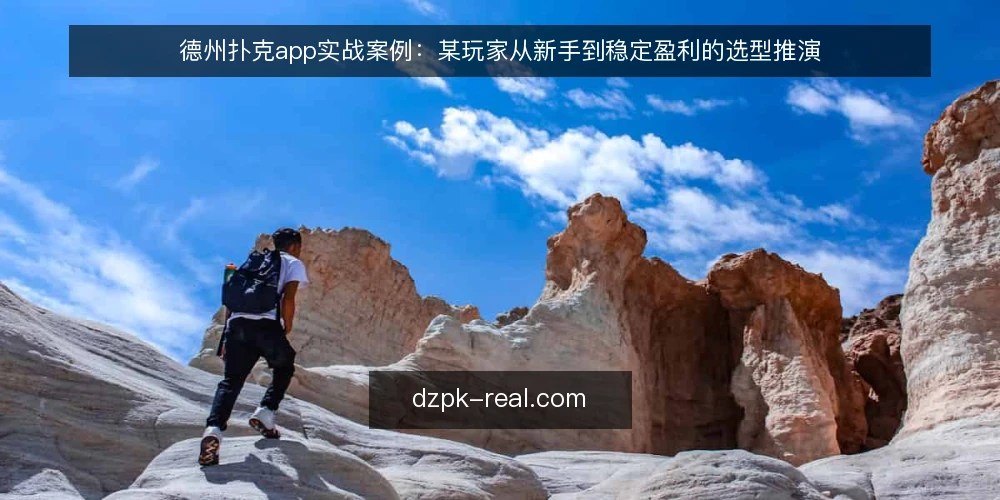 德州扑克app实战案例：某玩家从新手到稳定盈利的选型推演 — 场景设定与约束条件 配图